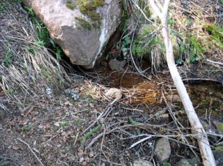 Just enough water coming out to fill your teakettle