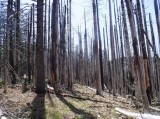 Finally it starts to clear