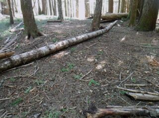 At the end of the ridge a large group camp