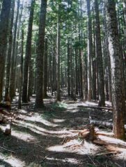 An easy climb to Benson Plateau