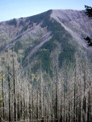 You can see how much was burned