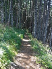 Heading down the trail