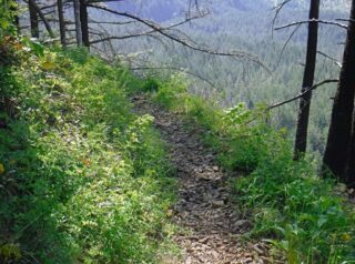 Stepping of trail at the corner would not be good