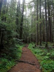 A magical area at the start of the trail