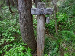 Zigzag Mtn. Trail sign and I go left