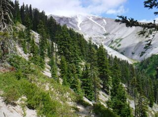 Looking up Zigzag Canyon to cloud cover Mt. Hood and my turn around place