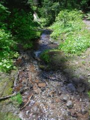 Lady Creek a place I had heard of and now visited