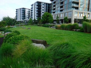 A view of the park and Residential buildings