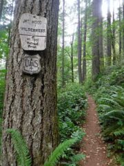 After the first switch back you enter the wilderness