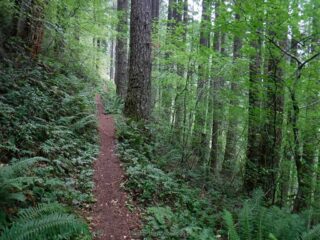 The trail and tread were in pretty good shape