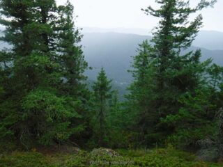 Not a day for great views.