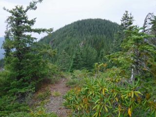 Looking back over to Zigzag West