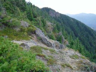 A nice view spot opened up