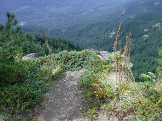 You can walk right up to the cliff edge for best view