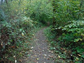 SpringValley_DSCF4934