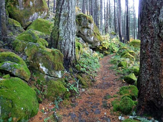 IndianPoint_DSCF5395