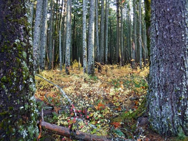 IndianPoint_DSCF5421