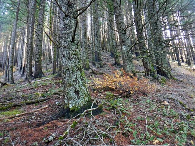 IndianPoint_DSCF5445