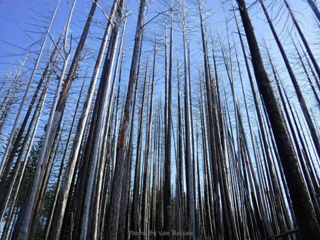 IndianPoint_DSCF5472