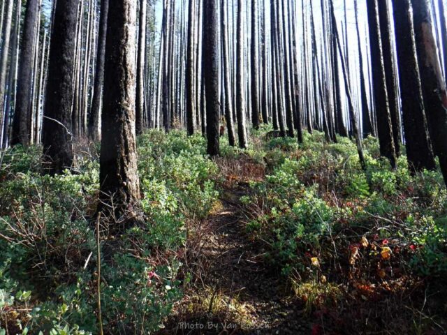 IndianPoint_DSCF5473