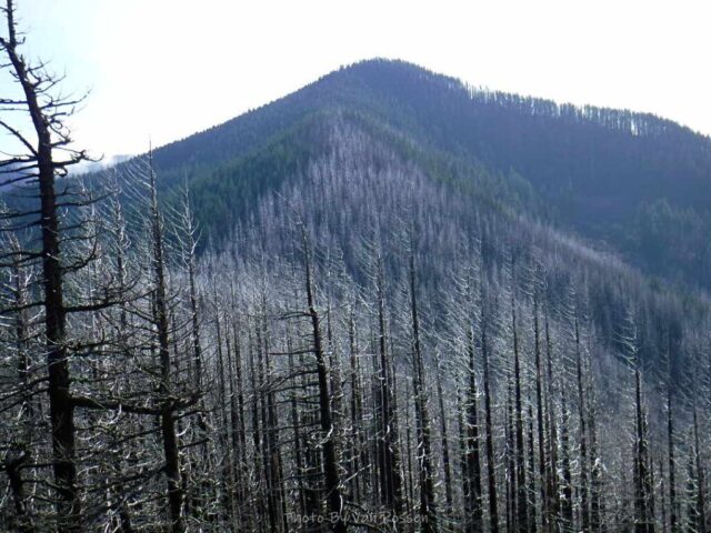 IndianPoint_DSCF5494