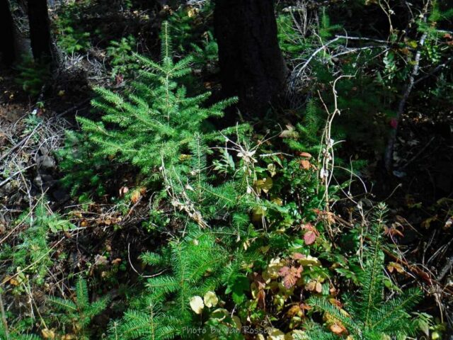 IndianPoint_DSCF5523