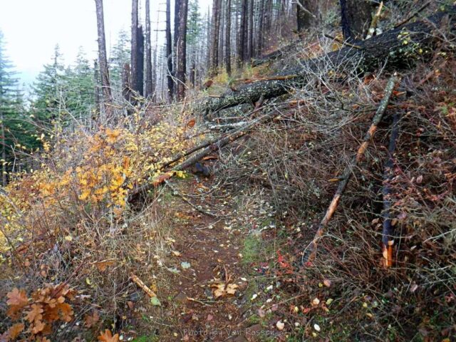 IndianPoint_DSCF5539