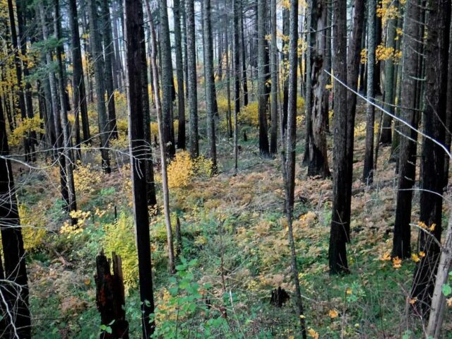 IndianPoint_DSCF5541