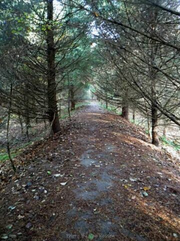 Exploring a user trail