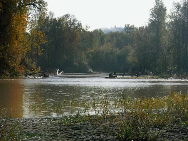 Sandy River entering the delta