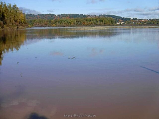 When I was here two years ago this was sand all the way to the Columbia River