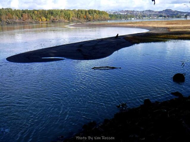 Out past the sand bar is where the Sandy meets the Columbia