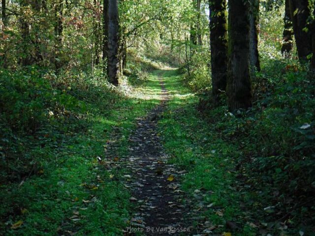 Some of the trails were roads but just used for trails now