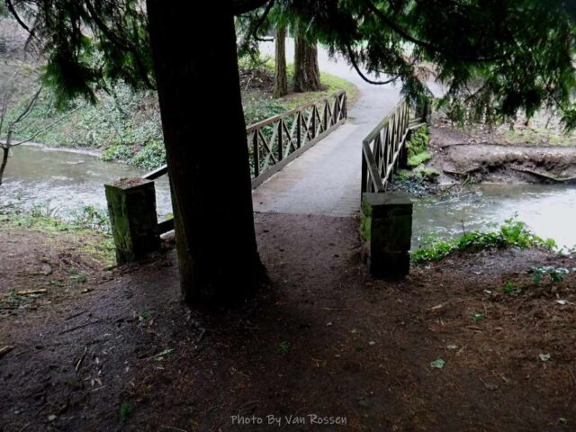 The put a tree right in front of the bridge you start on