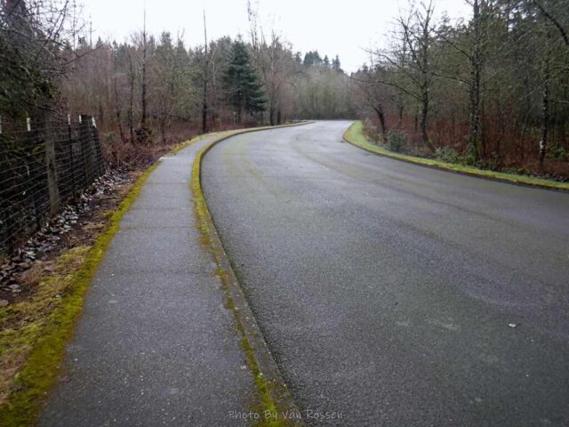 This road was gated off and is part of the trail
