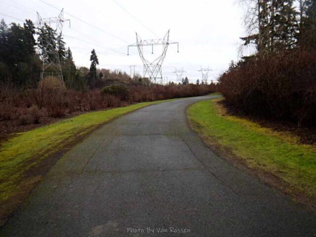 The trail and creek meet the powerline corridor