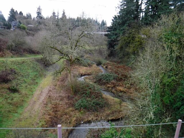 Looking down on how creek snacks along