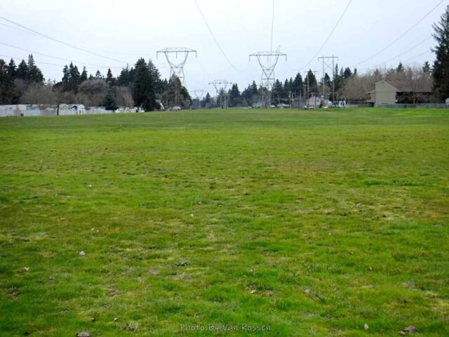 Heading back on the powerline corridor section