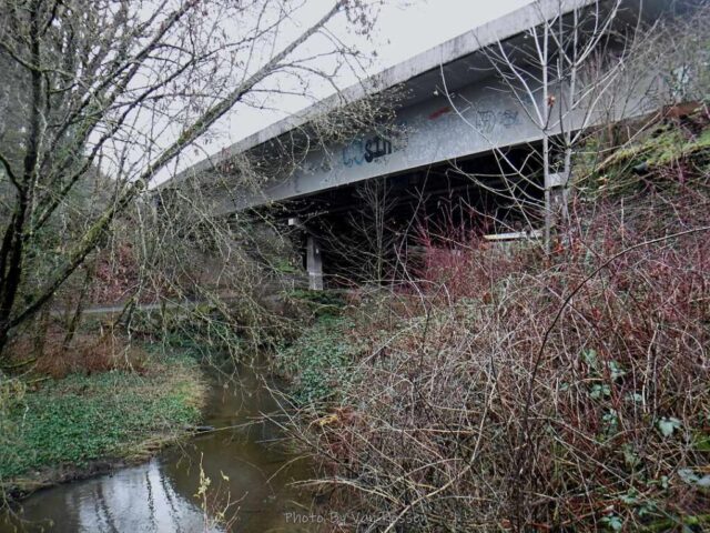Back under the freeway bridge
