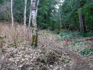 Turning off on to the old route to Devils Rest