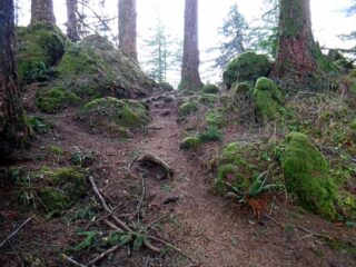 Summit of Devils Rest