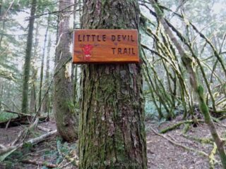 I took the new trail back down that had some signs