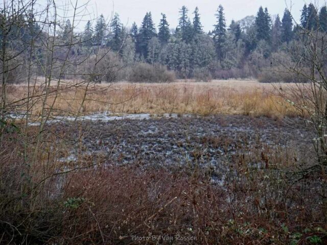 SalmonCreek_DSCF6823