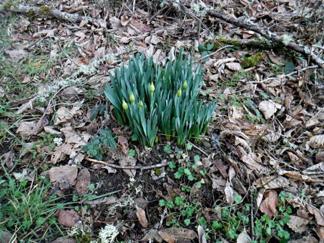 SalmonCreek_DSCF6826