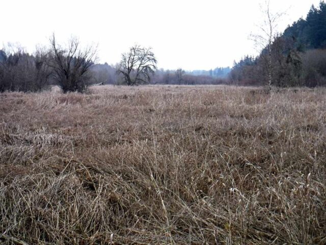 SalmonCreek_DSCF6839