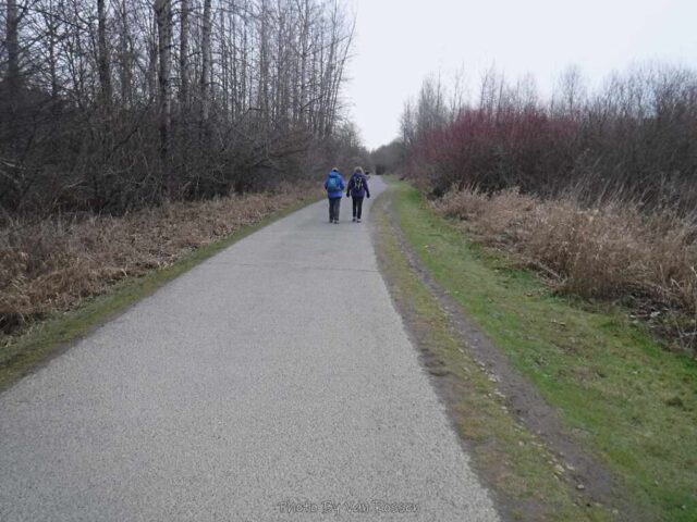 SalmonCreek_DSCF6851