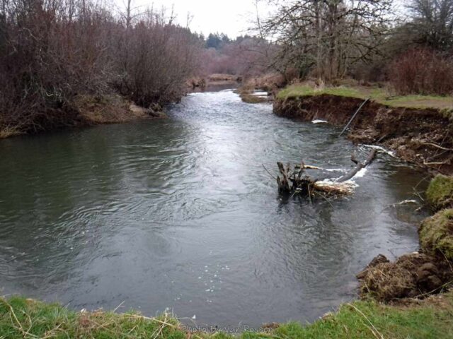 SalmonCreek_DSCF6853