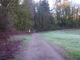 Heading off into the woods