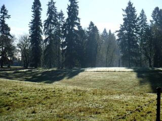 The trail goes by a neighbors open pasture