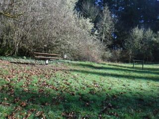 A place to tie up your horse and have a picnic